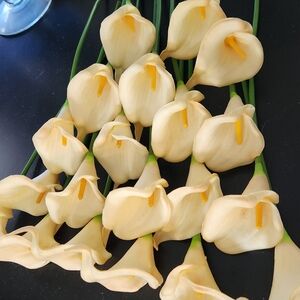 Elegant Cream Calla Lilies